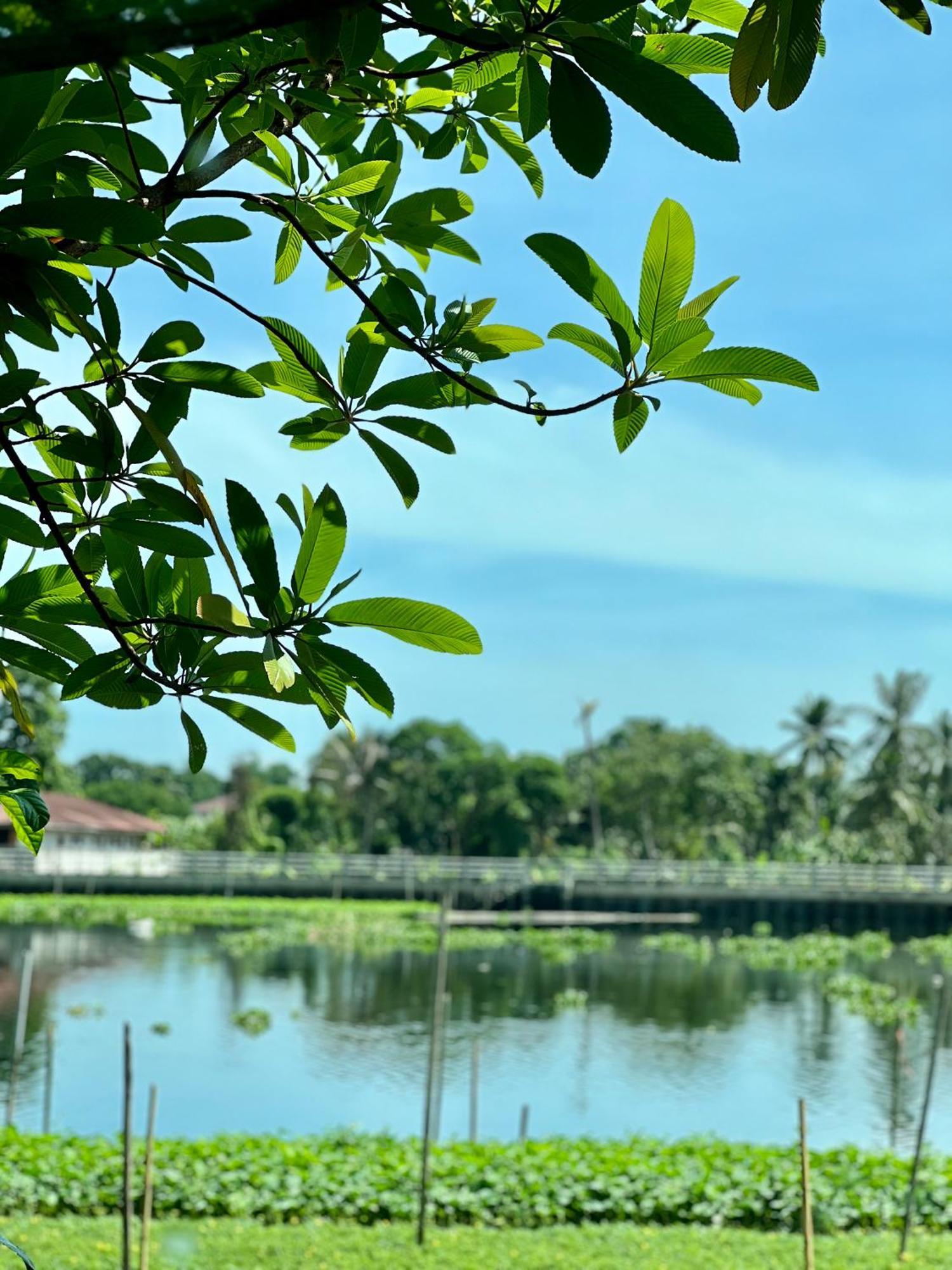 Mrt Riverside Sampran มิสเตอร์ที โฮมสเตย์-ช้องนาง المظهر الخارجي الصورة